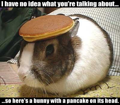 I have no idea what you're talking about. So here's a bunny with a pancake on its head.