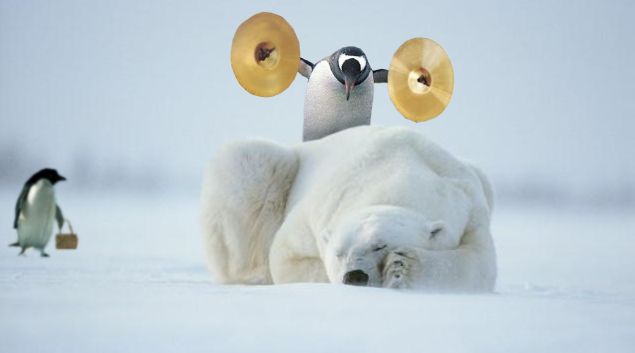 Penguin standing over a sleeping polar bear, about to slam a pair of cymbals together