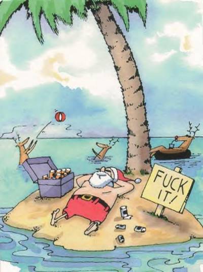 Santa chilling at the beach with a big sign saying FUCK IT!