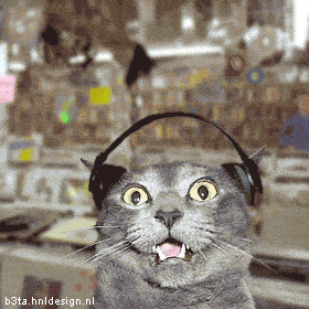 Animated graphic: techno cat