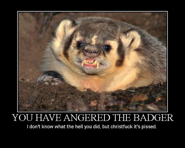 Demotivation poster: snarling badger subtitled - You have angered the badger. I don't know what the hell you did, but christfuck it's pissed.